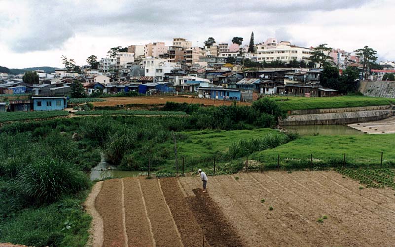 Dalat - zemdlsky vyuvan msto