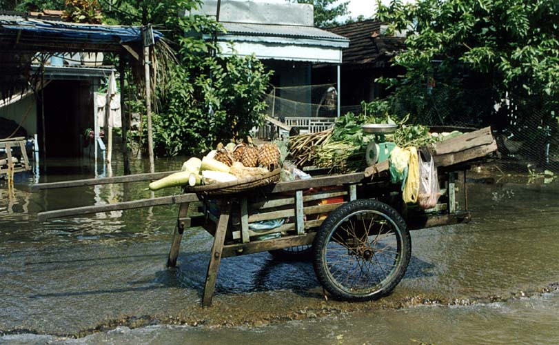 Ztopy v delt Mekongu