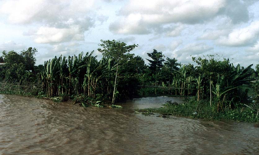 Delta Mekongu