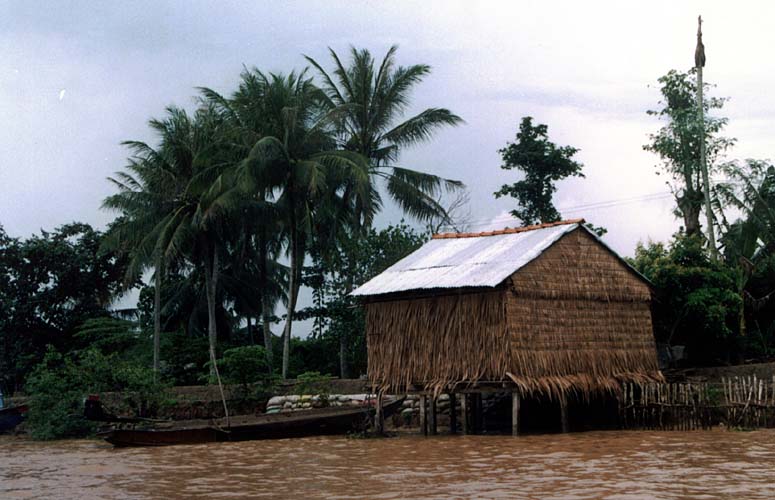 Delta Mekongu