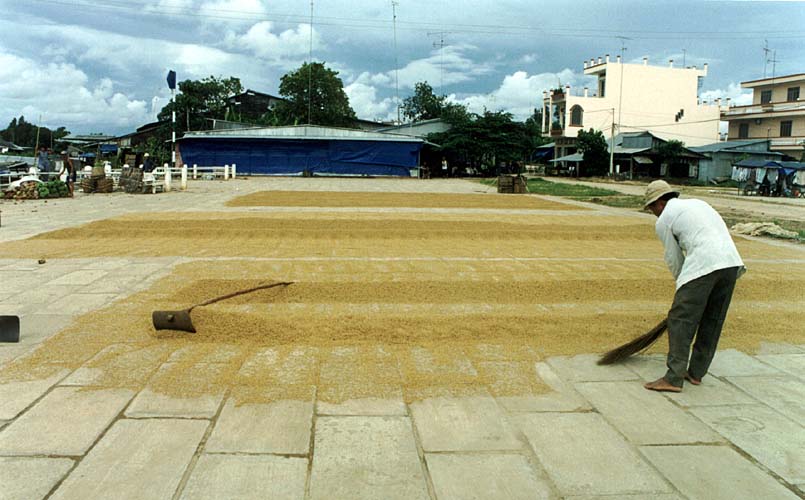 Delta Mekongu - suen re